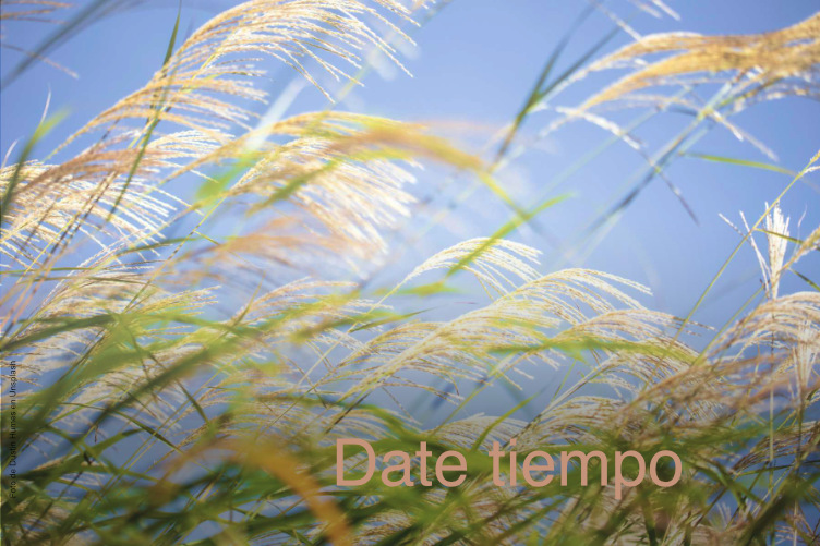 Date tiempo