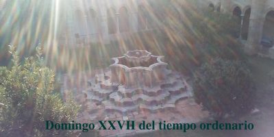 Domingo XXVII del tiempo ordinario // Mt 21,33-43