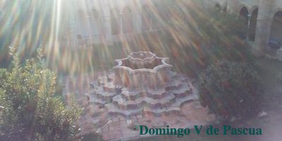 Domingo V de Pascua // Jn 15,1-8