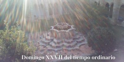 Domingo XXVII del tiempo ordinario // Mc 10,2-16