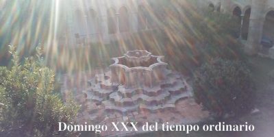 Domingo XXX del tiempo ordinario // Mc 10,46-52