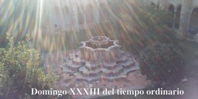Domingo XXXIII del tiempo ordinario // Mc 13,24-32