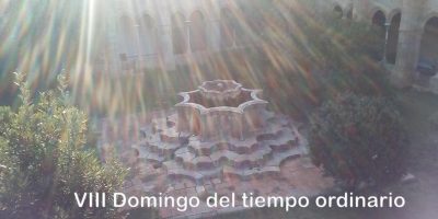 VIII Domingo del tiempo ordinario // Lc 6,39-45