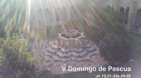 V Domingo de Pascua / Jn 13,31-33a.34-35