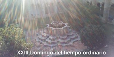 XXIII Domingo del tiempo ordinario // Lc 14,25-33