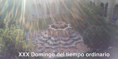 XXX Domingo del tiempo ordinario // Lc 18,9-14