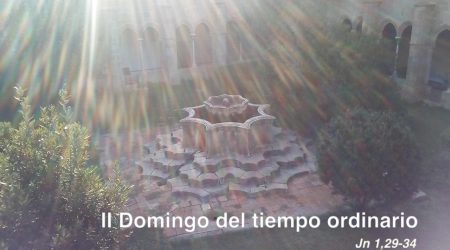 II Domingo del tiempo ordinario // Jn 1,29-34