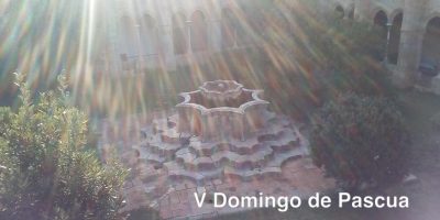 V Domingo de Pascua // Jn 14,1-12
