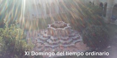 XI Domingo del tiempo ordinario // Mt 9,36-10,8