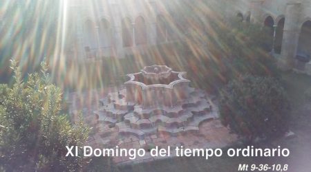 XI Domingo del tiempo ordinario // Mt 9,36-10,8