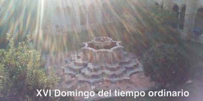 XVI Domingo del tiempo ordinario