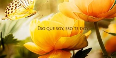 XIII Sesión de MediTcantamos