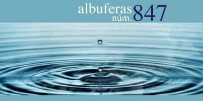 Albuferas 847