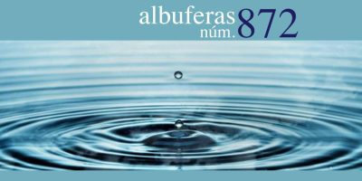 Albuferas 872 Quien no sea capaz de estar en …