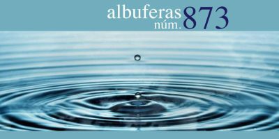 Albuferas 873