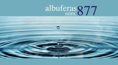 Albuferas 877