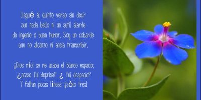 Albuferas 893
