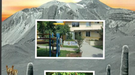 Hice lo que me dictó el amor