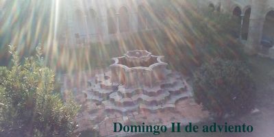 Domingo II de adviento // Mt 3, 1-12