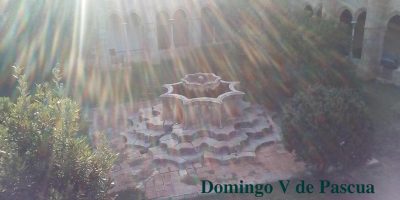 Domingo V de Pascua // Jn 14,1-12
