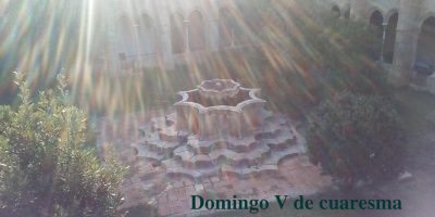 Domingo V de cuaresma // Jn 8,1-11