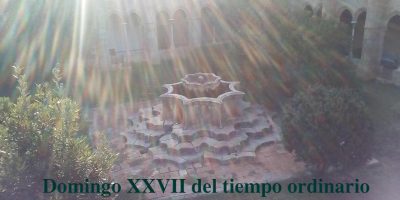 Domingo XXVII del tiempo ordinario // Lc 17, 5-10