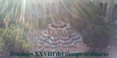 Domingo XXVIII del tiempo ordinario // Lc 17, 11-19