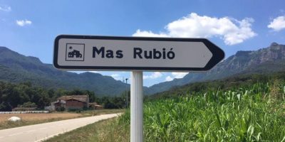 Centenario Alfredo: Introducción a los testimonios // Mas Rubió