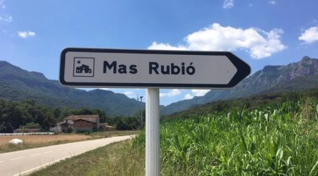 Centenario Alfredo: Introducción a los testimonios // Mas Rubió