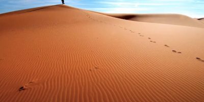 Retiro Cuaresmal // El desierto: fieras y ángeles