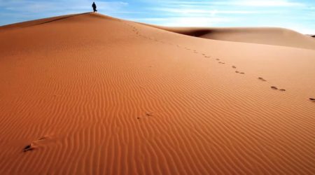 Retiro Cuaresmal // El desierto: fieras y ángeles